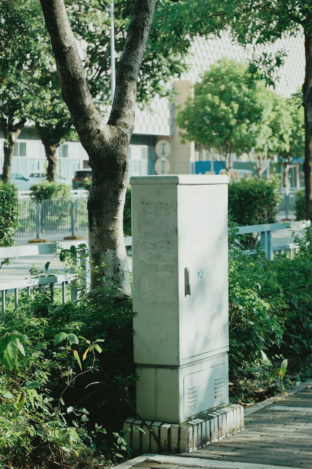 electrical-box-in-a-park-with-trees-and-bushes-knr3tomvmf8